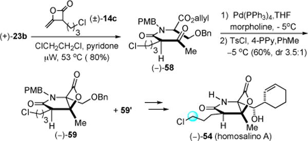 Scheme 9