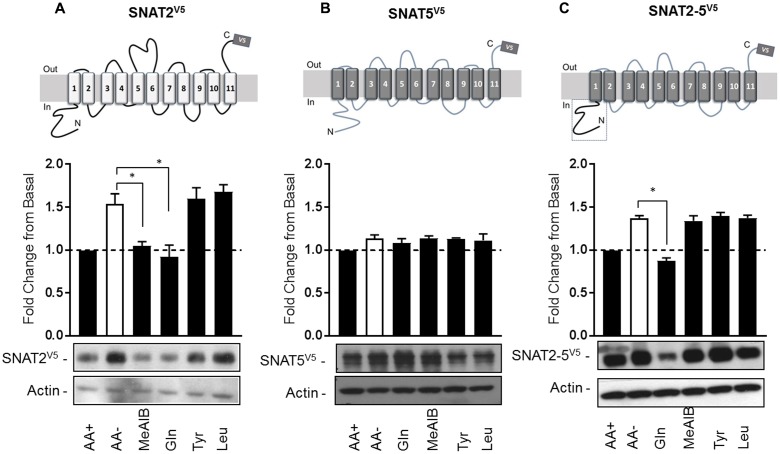 FIGURE 3