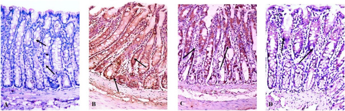 Fig. 8
