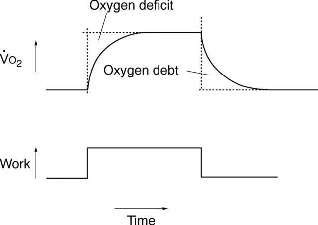 Figure 1  