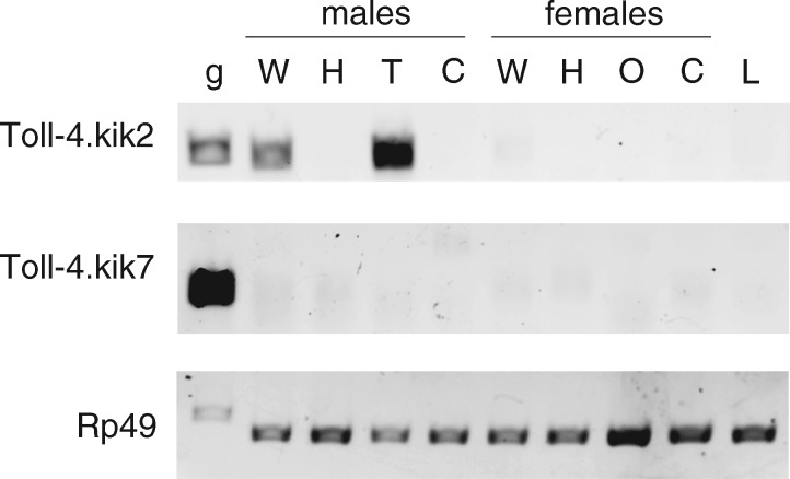 Fig. 5.