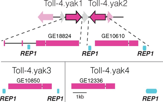 Fig. 4.