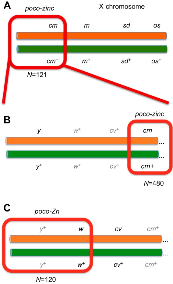 Fig. 1.