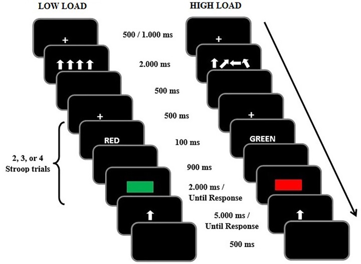 FIGURE 2