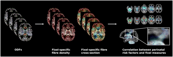 Unlabelled Image