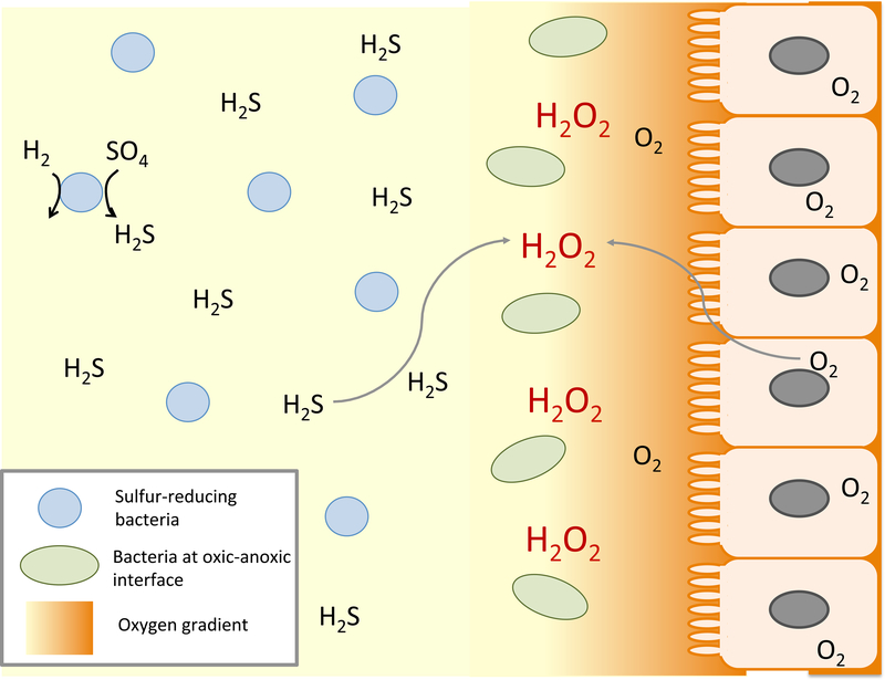 Figure 2.