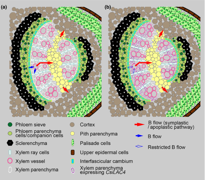 Fig. 9