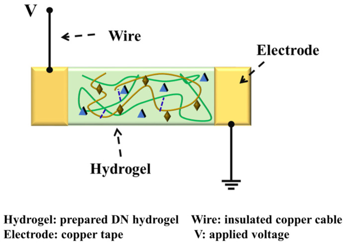 Figure 11