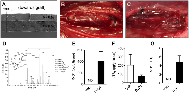 Fig 1.