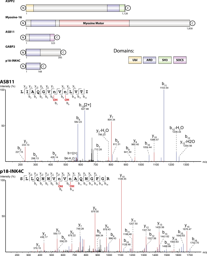 Figure 3