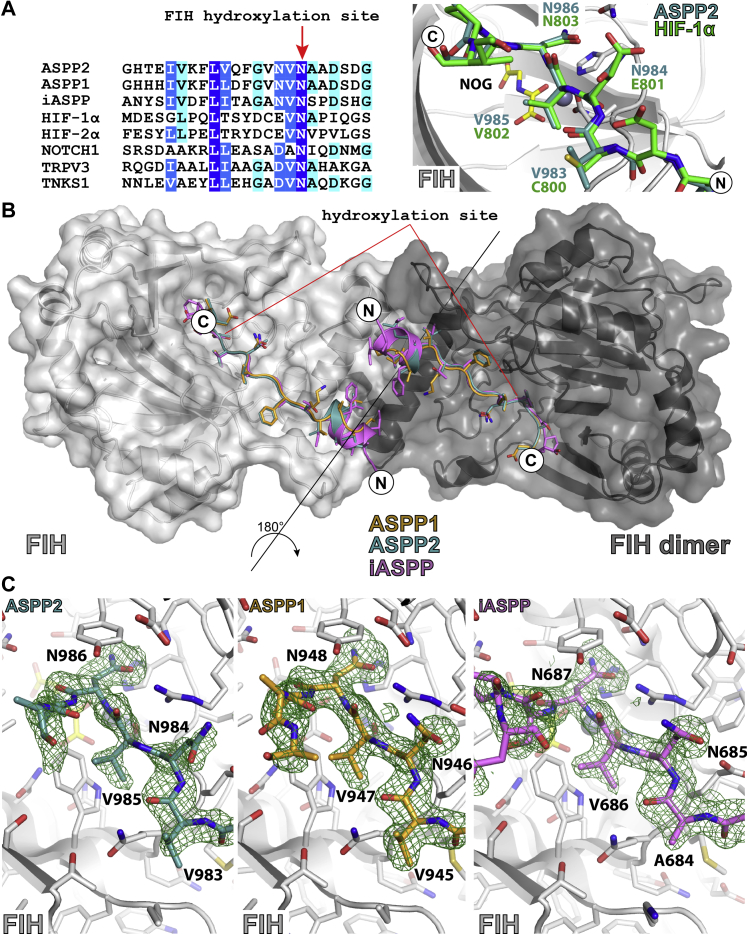 Figure 2