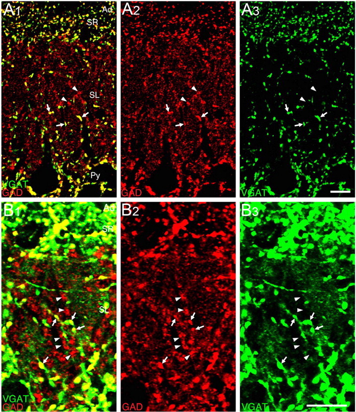 Figure 10.