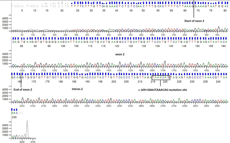 Fig. 2