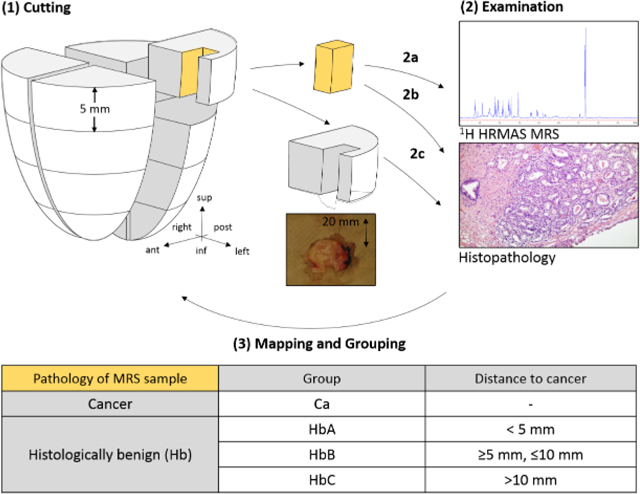 graphic file with name nihms-995497-f0009.jpg