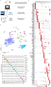 Extended Data Figure 2: