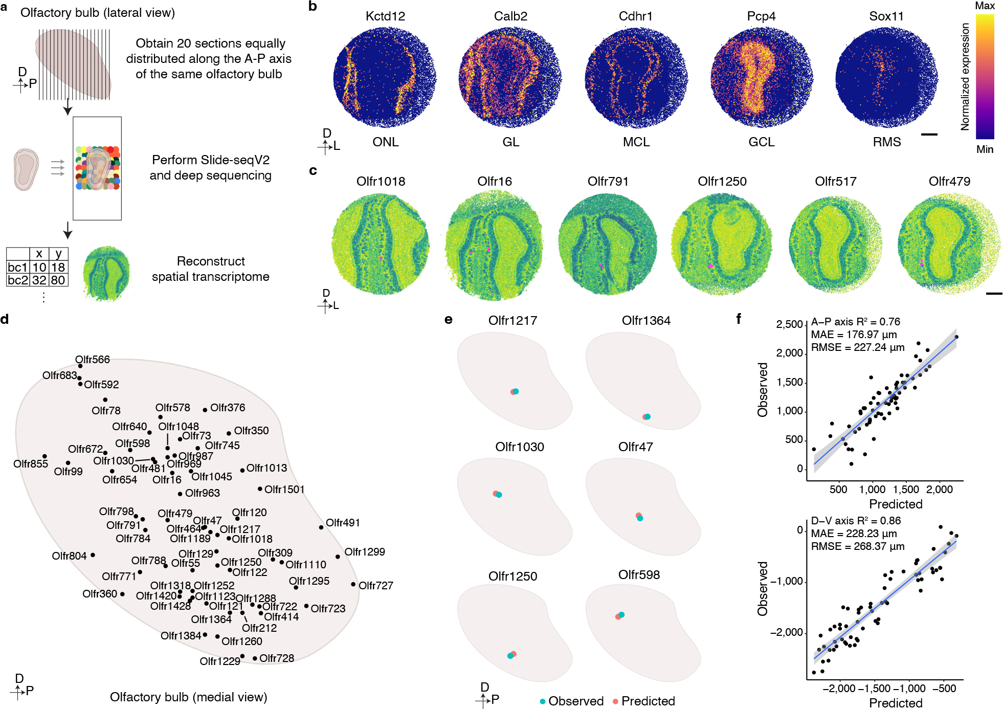 Figure 3: