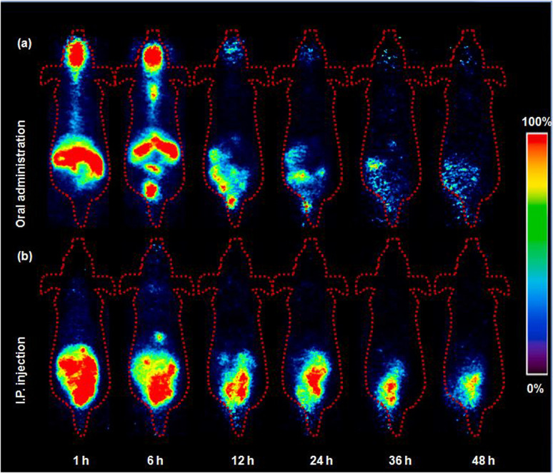 Fig. 3