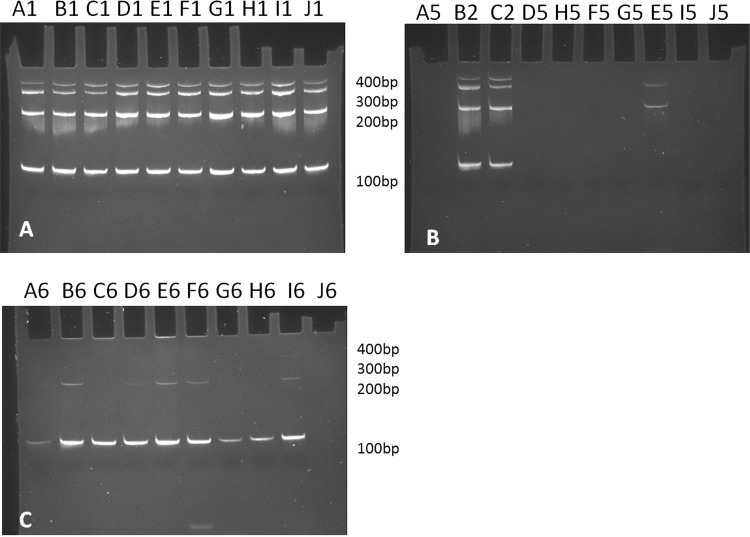 Figure 6