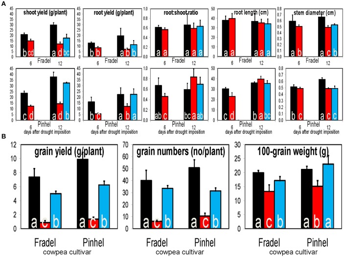 Figure 12