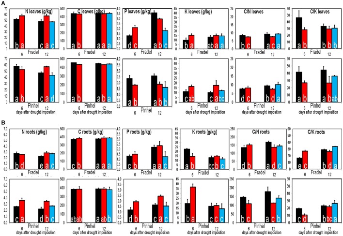 Figure 15