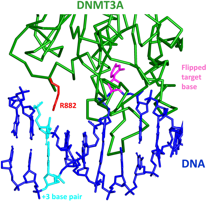 Figure 5.