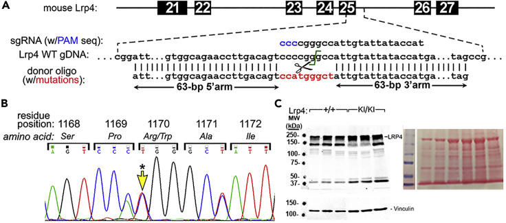 Figure 1