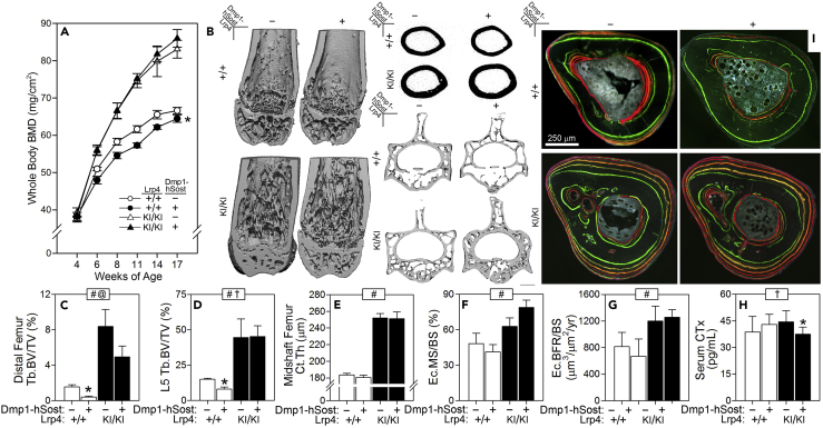 Figure 4