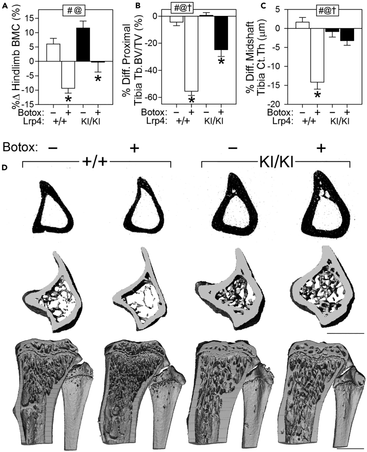 Figure 6