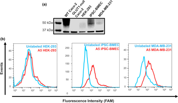 Figure 7