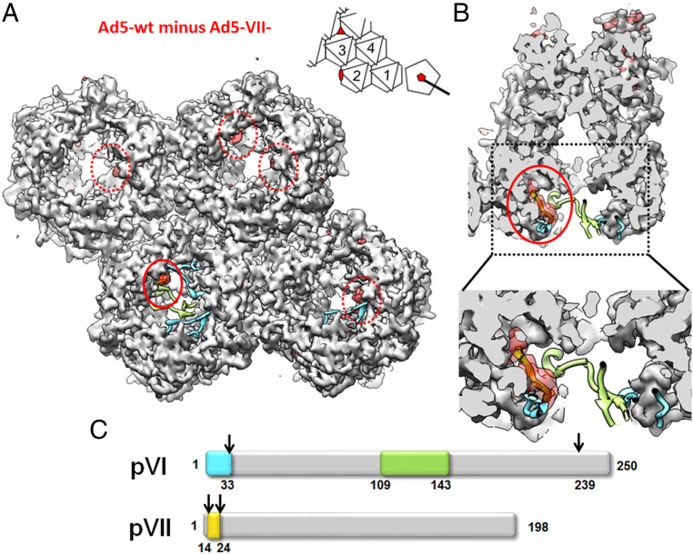 Fig. 4.