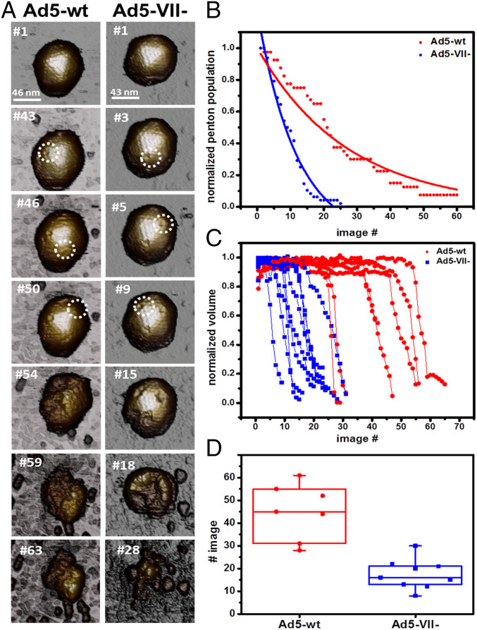 Fig. 3.