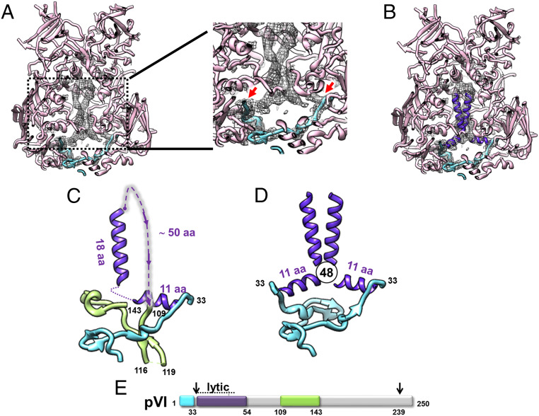 Fig. 6.