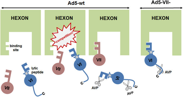 Fig. 7.