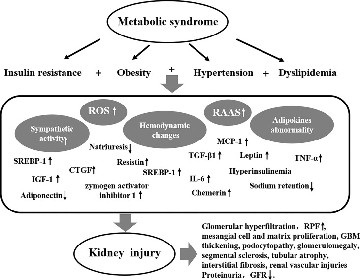 Figure 1