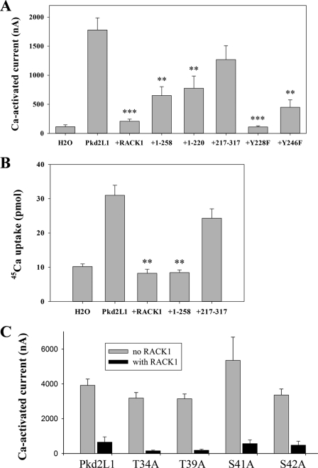 FIGURE 7.