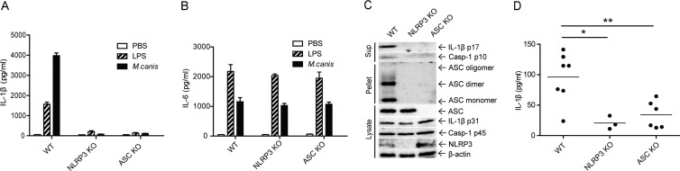 FIG 3