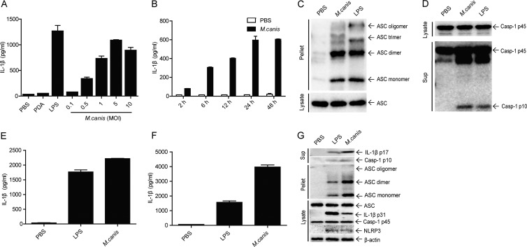 FIG 1