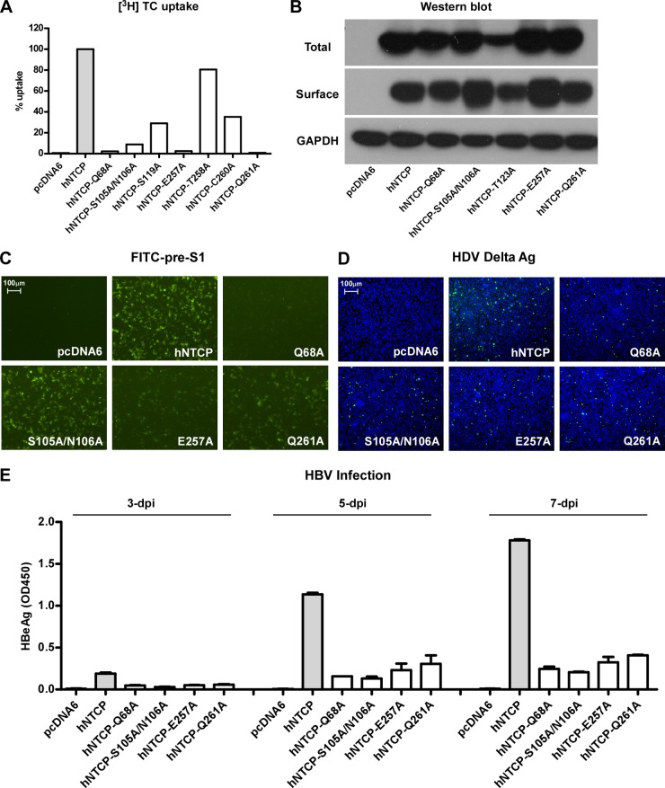 FIG 6