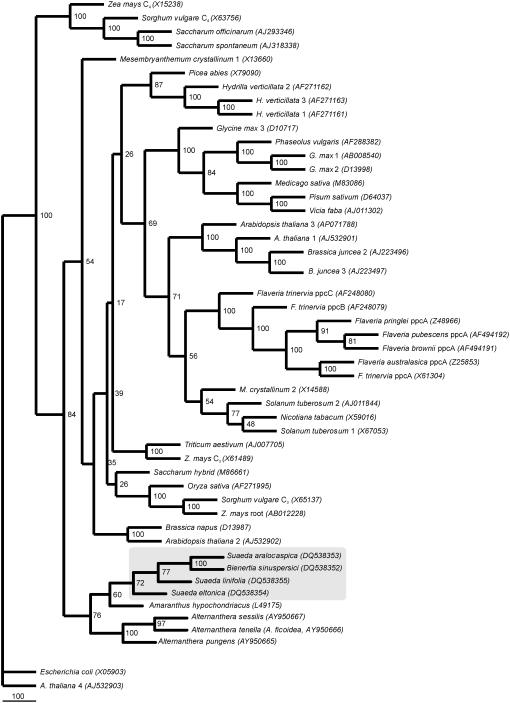 Figure 6.