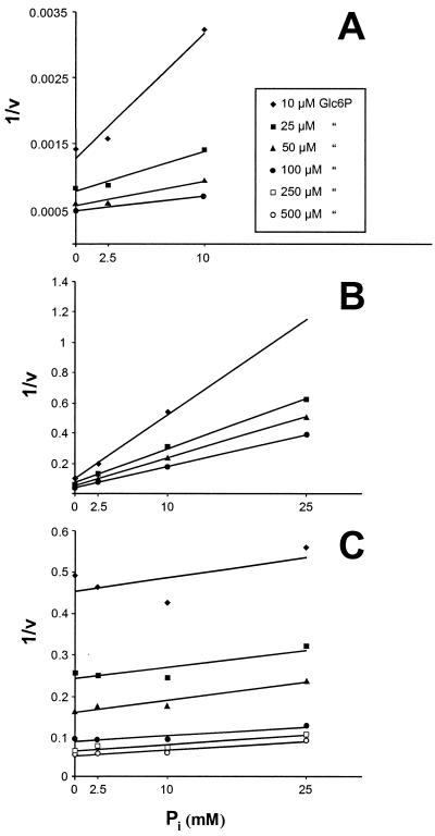 FIG. 5.