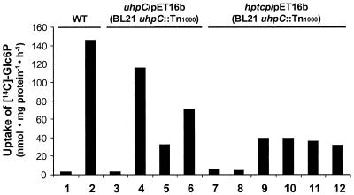 FIG. 7.