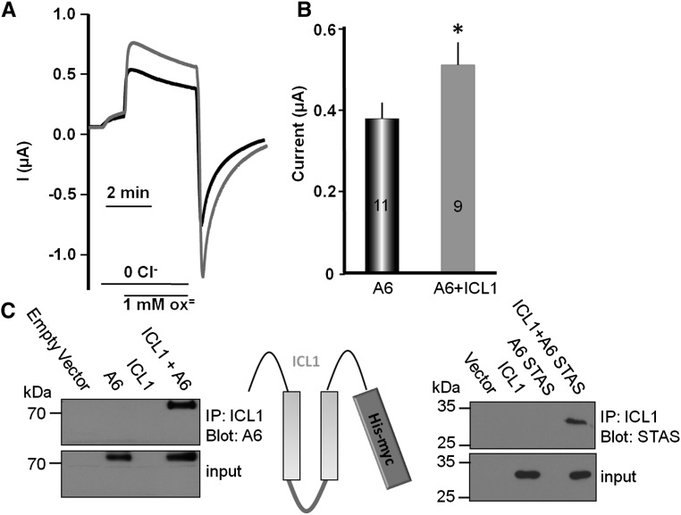 Figure 7.