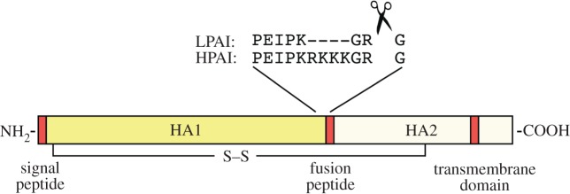 Figure 2.