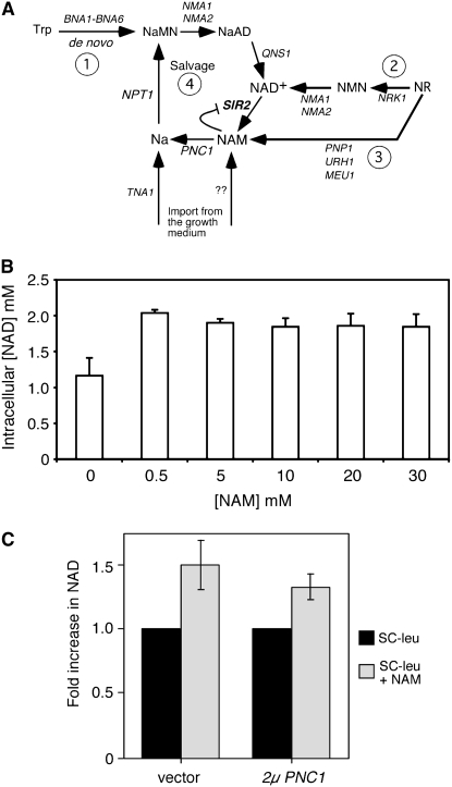 Figure 1.—