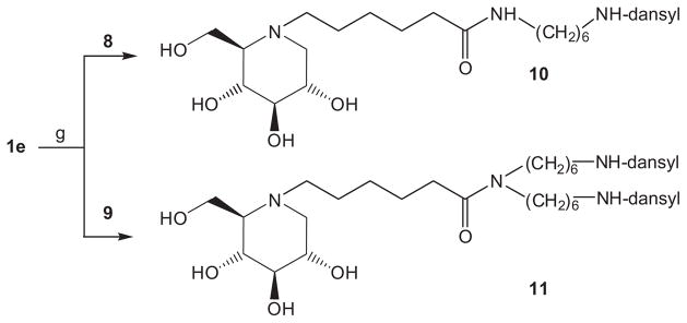 Scheme 4