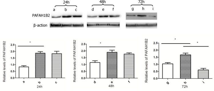 Fig 5