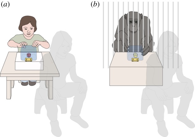 Figure 2.