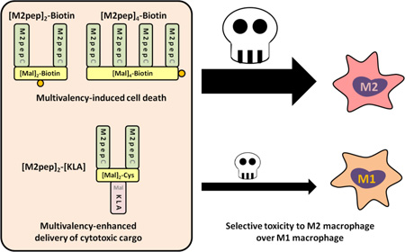 graphic file with name nihms752605f7.jpg