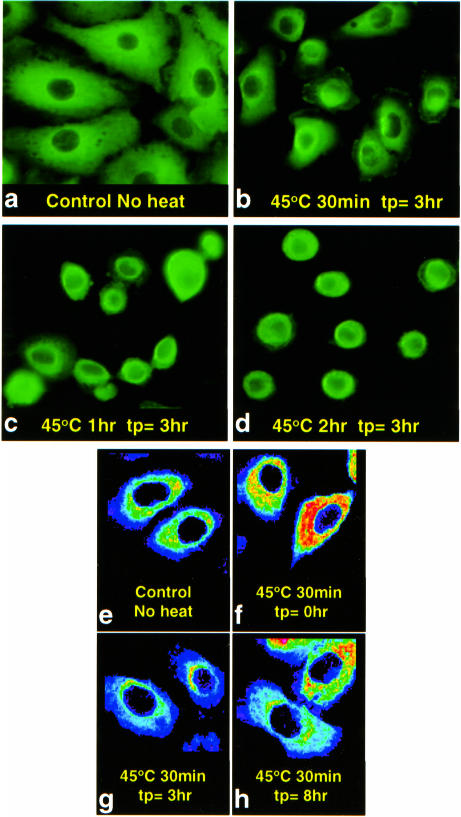 Fig 6.