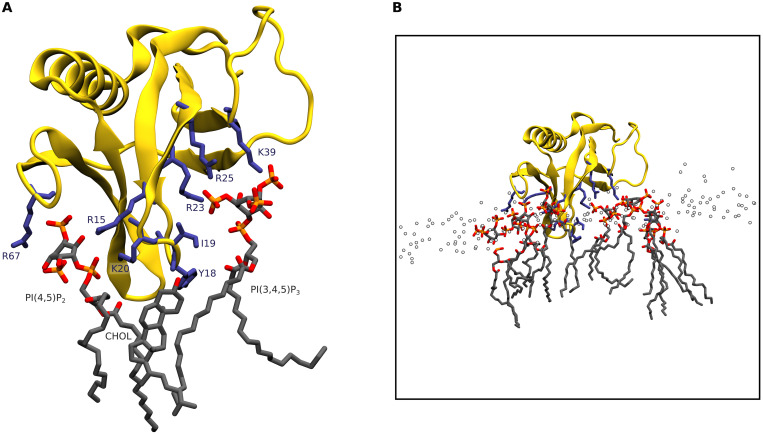 Fig. 3.